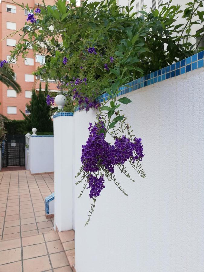 Casablanca Mediterranean Benidorm Dış mekan fotoğraf